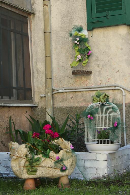 La Mia Casa Di Campagna Rovieto Bagian luar foto